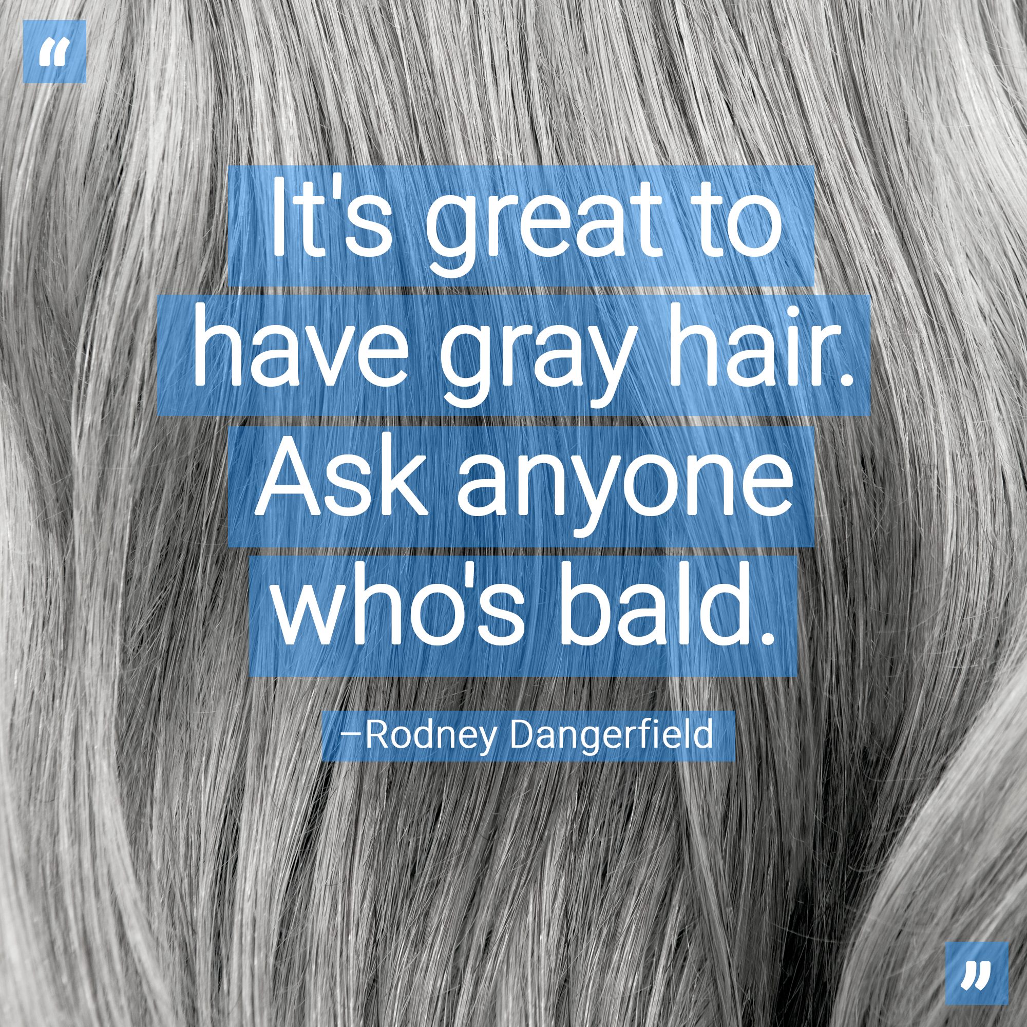 44 Best Grey Hair Quotes