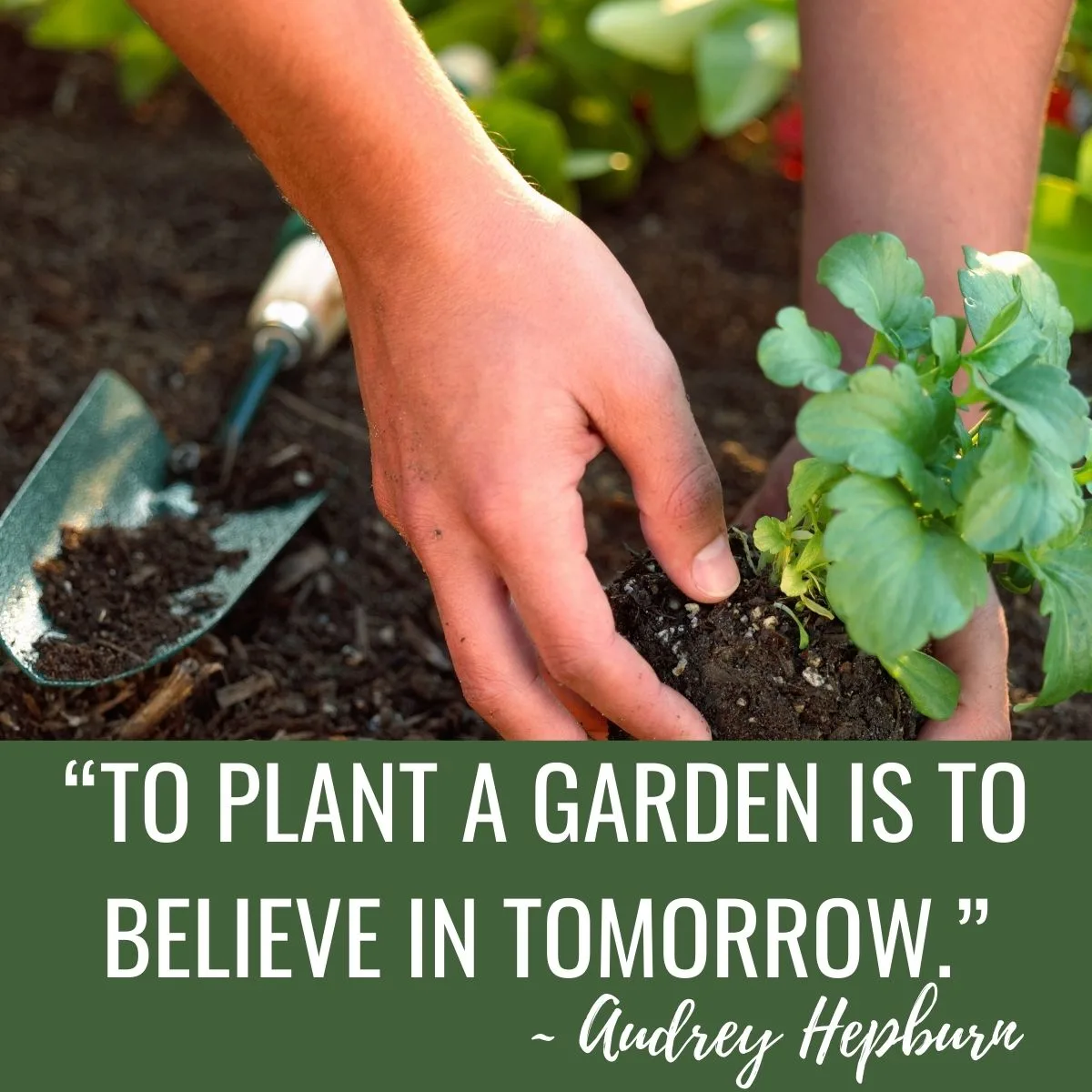 44 Best Vegetable Garden Quotes